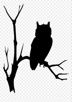 an owl sitting on top of a tree branch silhouetted against a white background png