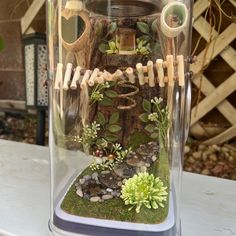 a glass jar filled with plants and rocks