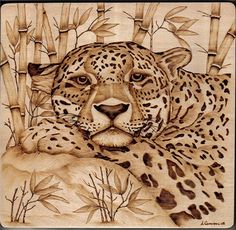 a drawing of a cheetah laying down in the grass next to bamboo trees