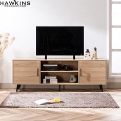 a living room scene with focus on the entertainment center and rugs in front of the tv