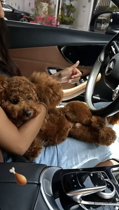 a woman holding a dog in her lap while sitting in the driver's seat of a car