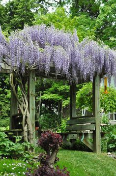 an arbor with purple flowers on it and the words 10 great garden benches in front