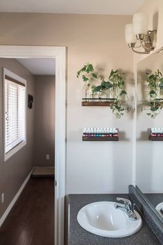 a bathroom sink sitting under a mirror next to a wall mounted shelf with plants on it