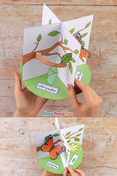 someone is holding up an easy to make butterfly pop - up card for the kids