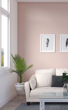 a living room with pink walls and two pictures on the wall above the white couch