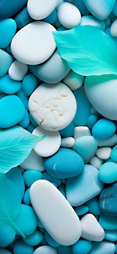 blue and white rocks with leaves on them