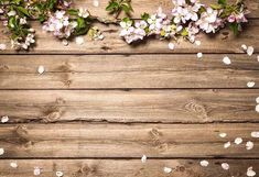 an overhead view of flowers on a wooden background