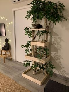 the cat tree is made out of wood and has plants growing on top of it