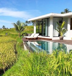 a house with a pool in front of it and lush green fields around the pool