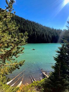 there is a boat that is in the water near some pine trees and another boat