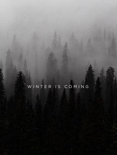 the words winter is coming written in black and white on a foggy forest background