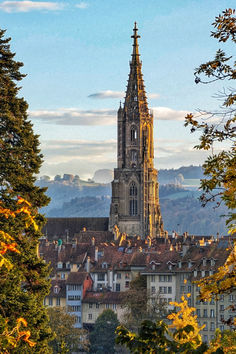 Experience the beauty of the Berner Münster framed by vibrant autumn foliage. This iconic Gothic cathedral stands tall amidst the charming cityscape of Bern, offering stunning views during the fall season. Whether you're a history lover, a photography enthusiast, or planning your next trip to Switzerland, save this pin for inspiration to explore Bern’s timeless charm!  📸 instagram.com/anatolheib/ Trip To Switzerland, Gothic Cathedral, Autumn Foliage, Stand Tall, Fall Foliage, Tourist Attraction