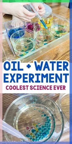 the book oil and water experiment cools science ever