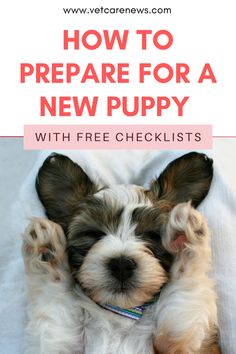 a puppy laying on top of a bed with the title how to prepare for a new puppy