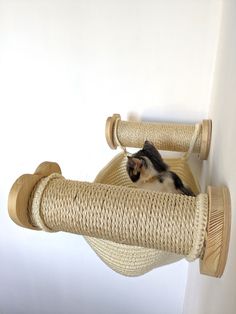 a cat sitting on top of a scratching post in a room next to a wall