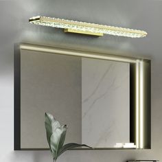 a bathroom vanity with a mirror and light above it, next to a potted plant