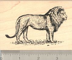 a rubber stamp with a lion on it