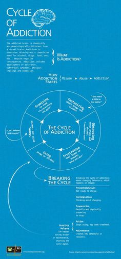 the cycle of an adult on a blue background with white text and arrows pointing in different directions