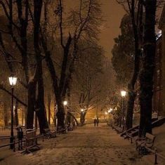 people walking down a snowy street at night with benches and lamps in the foreground