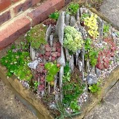 a small garden made out of old wooden sticks and rocks with plants growing on them