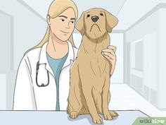 a woman in a lab coat holding a dog with her paw on the side of it