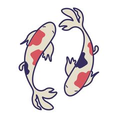 two koi fish swimming in the water