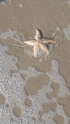 a starfish on the beach with waves coming in from the water and sand around it