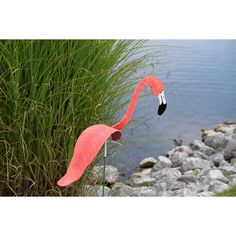 a pink flamingo standing next to some water