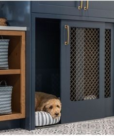 a dog is laying down in his kennel with its head sticking out the door