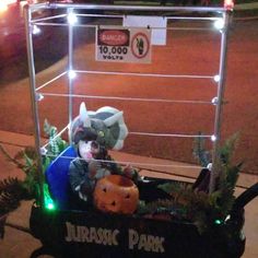 a cat in a wagon with pumpkins and lights