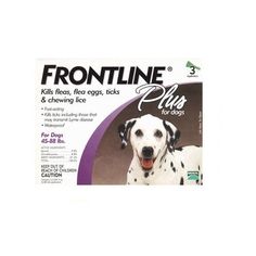 buy flea & tick control for dogs at cheap rate in bulk. wholesale & retail birds, cats & dogs items store. Benadryl For Cats, Cat Safe Plants, Ticks On Dogs, Flea Control, Cat Training, Cat Facts, Flea And Tick, Training Your Dog, Ticks