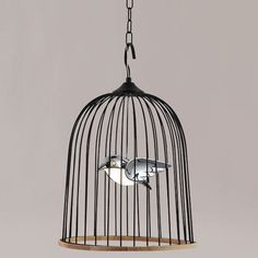 a bird in a cage hanging from a chain