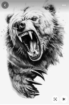 a drawing of a bear with its mouth open