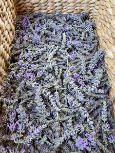 a basket with lavender flowers in it