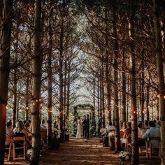 an outdoor ceremony in the woods with lots of people sitting at tables and standing around