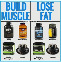 Protine Food, Types Of Protein, Muscle Diet, Gym Supplements, Fat Loss Supplements, Gym Workout Planner, Bodybuilding Workout Plan, Bodybuilding Diet