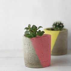 two cement pots with plants in them on a white tableclothed surface, one is pink and the other is yellow