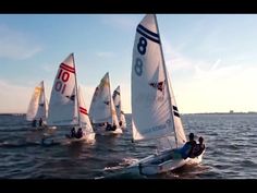 several sailboats in the water on a sunny day