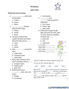 the worksheet for plants and flowers is shown in this page, which includes answers