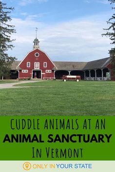 a red barn with the words cuddle animals at an animal sanctuary in vermont only in your state