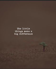 a small tree sitting on top of a dirt field next to a quote that reads the little things make a big difference