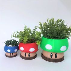 three planters with plants in them sitting next to each other on a white surface