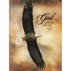 an eagle flying through the sky with a bible verse on it's back side