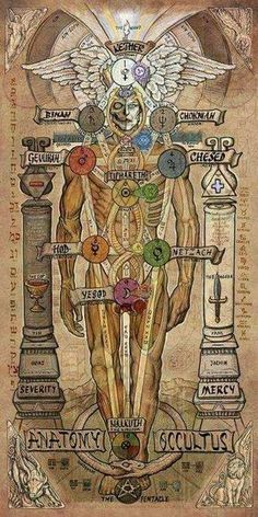 an image of the human body with many different symbols and numbers on it, as well as