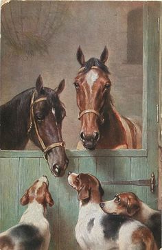 two dogs and three horses looking at each other through a window with their heads in the windowsill