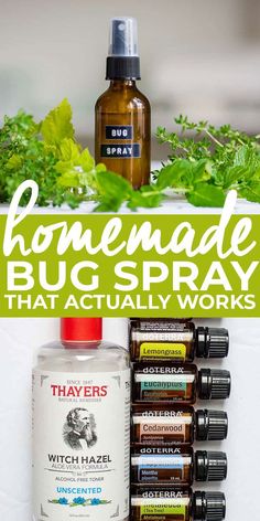 Diy Bug Spray, Natural Bug Spray, Doterra Essential Oils Recipes, Diy Essentials