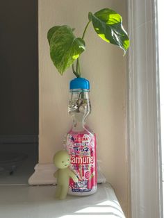 a plant is growing out of a bottle on a shelf next to a window sill