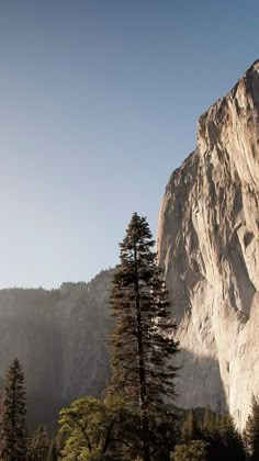 there is a mountain with trees in the foreground