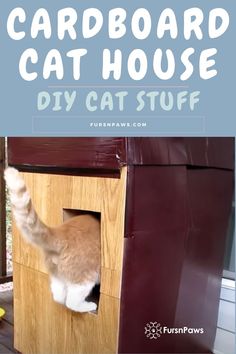 an orange and white cat climbing out of a cardboard house with text overlay that reads cardboard cat house diy cat stuff