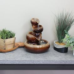 there are many potted plants on the table and one has a water fountain in it